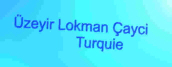 zeyir Lokman ayci, Turquie